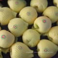China Supplier Golden Apple Hot Selling High Quality Delicious Apple fresh Golden Apple
